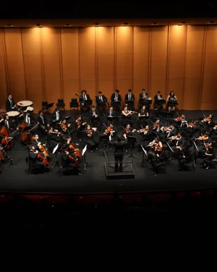 Twilight In Concert